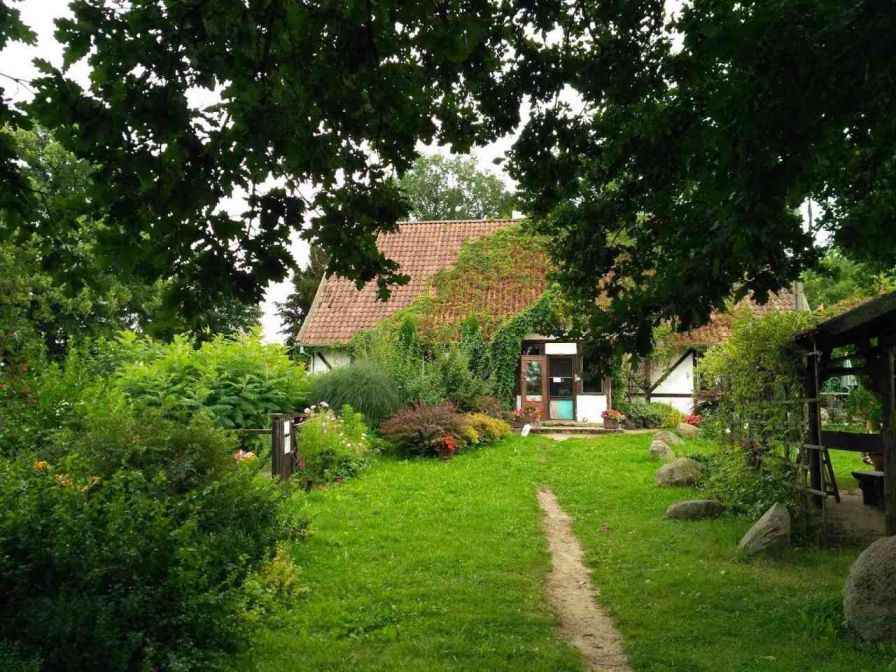 przod domu agroturystyka na mazurach warmii widok spod drzew